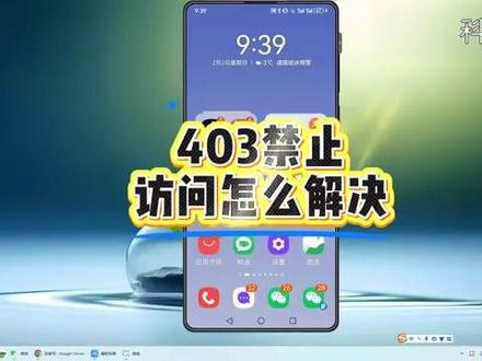 403禁止访问怎么解决? #科技 #科普