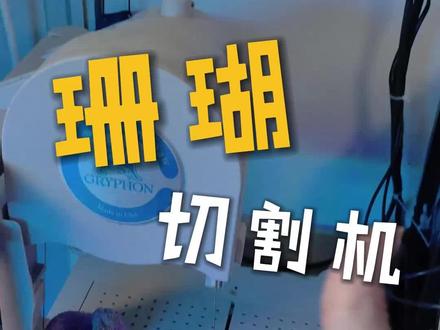 给大伙儿介绍一下我的左膀跟右臂#珊瑚切割 #海缸日记 #海水缸 #珊瑚 #珊瑚繁殖