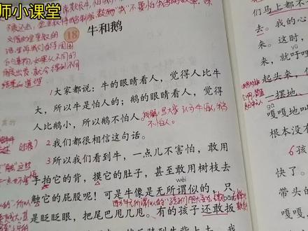 四年级语文上18课《牛和鹅》课文讲解