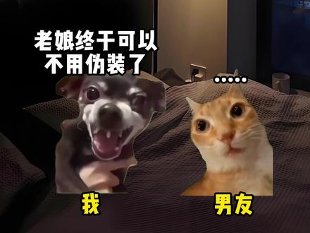 当我把男友成功骗到手后#内容过于真实 #meme #猫meme