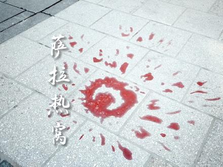 在波黑,我来到了这个一半城市,一半坟墓的地方#萨拉热窝 #给你种草我旅行过的地方 #裴你吕行 #波黑