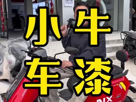 小牛NX、FX、MT、FS的车漆今天调回来了#电动车分享干货 #小牛补漆#小牛自喷漆