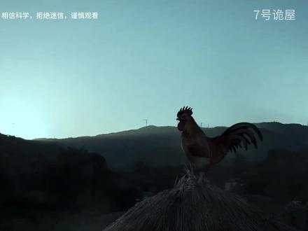 引魂鸡:相信科学,拒绝迷信,谨慎观看。