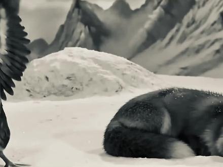 雪山救狐狸(板鸭版)#雪山狐狸 #ai #热门#抽象