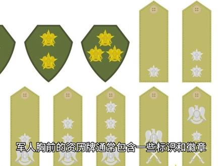军人胸前的资历牌如何看
