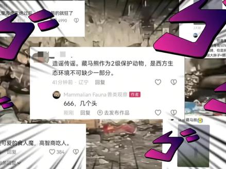 藏马熊补档(粗糙娱乐版)#热门#藏马熊#动物科普
下期更新里海虎