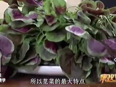 苋菜-清热祛湿去寒凉,维生素矿物质#美食#奥利给#女性#日常#上火#家常菜#孩子