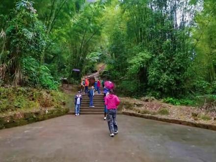 爱情天梯是位于重庆市江津区四面山景区中山古镇的6208级人工石阶,由刘国江耗时50年为妻子徐朝清在悬崖峭壁间手工开凿而成,其跨越世俗、相守一生的爱情故事感动中国,已成为重要的爱情文化地标。#重庆江津#爱情天梯#徒步