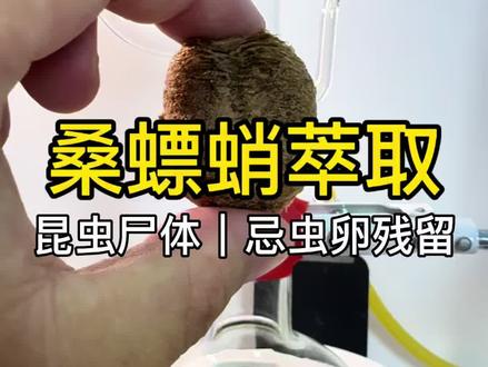 桑螵蛸·索氏萃取|古法草木精华的现代提取 桑螵蛸,是螳螂的干燥卵鞘,传统草本里很特别的一味。
我们用75%食品级乙醇,通过索氏回流,把脂溶性物质慢慢浸提出来。
#中药萃取 #索氏提取 #桑螵蛸 #草本精华 #中药提取液