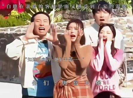 果然大爆爆爆!!!#白鹿#亲爱的客栈 #唐宫奇案