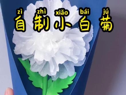 一张面巾纸就可以做出一朵白菊花,收藏起来~#清明节缅怀先烈 #清明节手工 #萌知计划 #儿童手工@抖音青少年