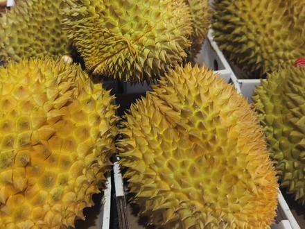 草率了,周六拿的两件榴莲没卖完,第二天全都炸口了#榴莲