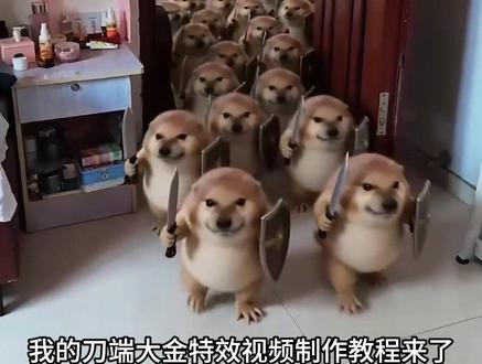 我的刀盾大军视频教程来啦!#剪映 #我的刀盾#萌宠 #表情包我的刀盾 我的刀盾小狗,我的刀盾奶龙,我的刀盾原视频,我的刀盾比比拉卜八嘎呀路歪比巴卜,我的刀盾特效,我的刀盾入侵,我的刀盾图片,我的刀盾dj,我的刀盾是什么意思