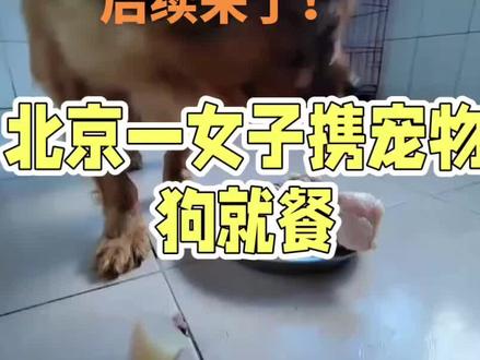 #后续 来了#北京女子带狗上桌涮肉,惹众怒#文明养犬 #公共卫生安全