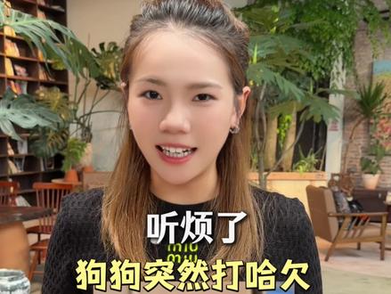 秒懂狗狗“暗语”#养狗经验分享#萌宠#宠物科普 #科学养宠攻略