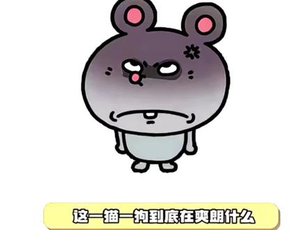 咱就是说怎么能mean成这样!#宠物 #搞笑 #内容过于真实 #狗狗 #猫咪