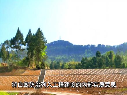 水库堤坝白蚁防治技术指南#水库堤坝白蚁防治技术#水库白蚁防治#白蚁防治技术#创作灵感