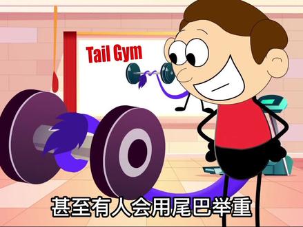 假如人类有一条尾巴,那会发生什么有趣的事情呢?#动画 #科普 #知识