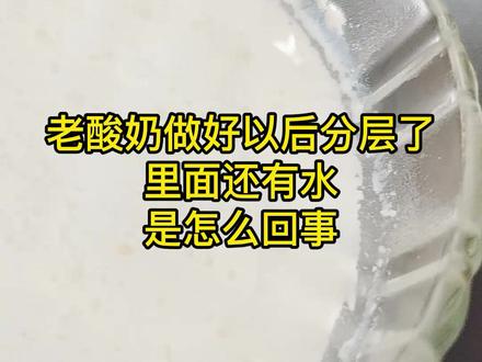 老酸奶做好以后分层了,里面还有水,是怎么回事#酸奶 #酸奶制作