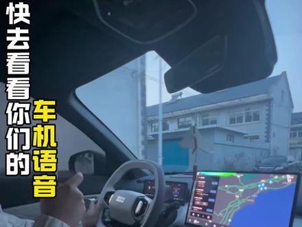 领克怎么能出现这么低级的错误呢? #领克 #领克高速关灯 #星舰7 #语音助手