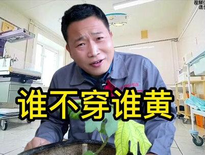 屡造假,屡中标,人在家中,自动变黄,出了事还四次中标,医院的搞笑骚操作。 #反转 #奇葩 #原创搞笑 #仅供娱乐切勿当真 #老爹会的多