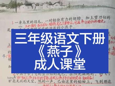 三年级语文下册《燕子》视频讲解完整版。成人课堂。2026年春季新教材。#三年级语文#小学语文#预习 #课堂笔记#小学教师资格证面试 #三年级语文