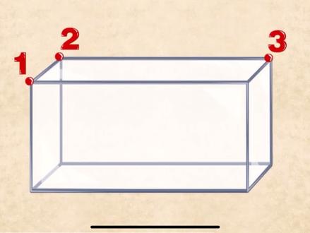 立体图形(长方体,正方体,圆柱,圆锥)#六年级数学