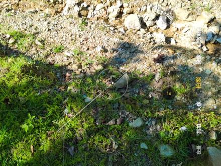 快打开你的iqoo试试吧!#摄影#干货满满