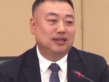 刘国梁卸任WTT董事会主席!由佩特拉·索林接任! #刘国梁 #乒乓球