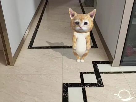 你好啊娃娃丢!怎么是Happy猫啊...#娃娃丢 #happy猫