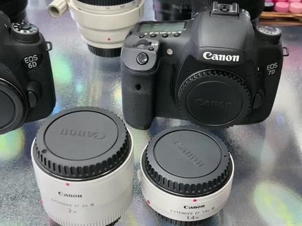 佳能1.4三代增倍镜和2倍三代#电子产品 #玩转数码 #摄影器材 #现场实拍