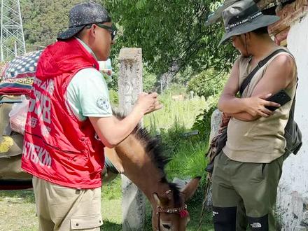羡慕马帮生活,有马不骑,一人一马,说走就走,从云南徒步1000多公里到西藏#记录真实生活 #旅行 #西藏
