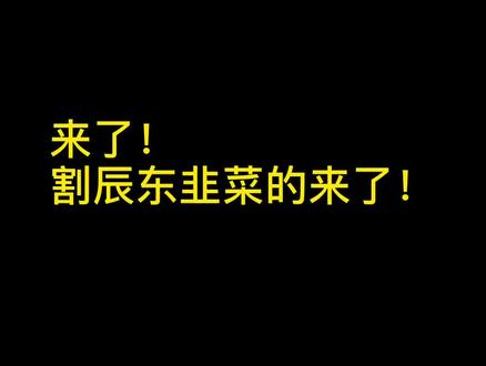 来了!割辰东韭菜的来了!#小说 #辰东 #深空彼岸