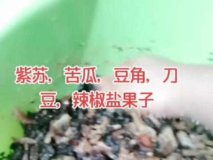 第一次学做盐果子,味道还有待考证😁😁声明一下哈:手用碱洗了几遍应该不脏了