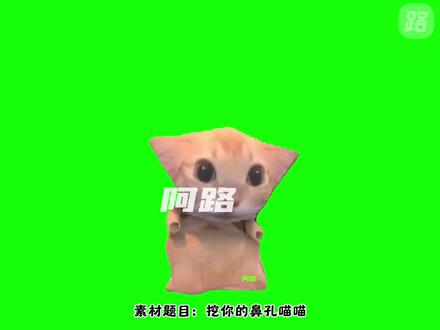 挖你的鼻孔喵喵-直播间整蛊绿幕素材特效 #整蛊直播 #绿幕素材 #绿幕素材喜欢自取 #绿幕直播间搭建