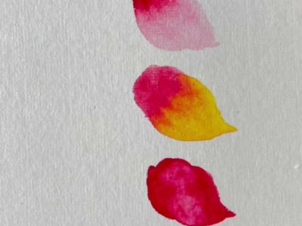 一分钟学会五种花瓣技巧~#绘画 #国画 #汪老师去画画 #零基础学画画 #国学文化