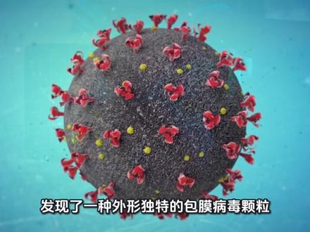 印度爆发尼帕病毒,可人传人,一段视频讲明白尼帕病毒