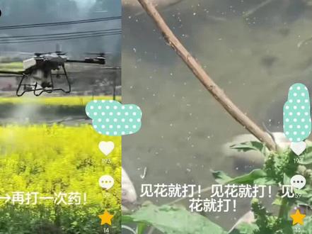 【辟谣】无人机打药导致鱼群死亡?导致小麦大面积死亡?谣言!拼接视频造谣!#无人机 #打药 #农民 #正能量 #老百姓关心的话题