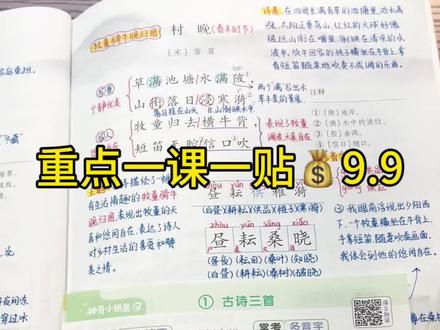 下册新版课课贴语数英1-6年级重点🔥