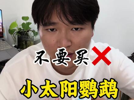 不要买小太阳鹦鹉,绿颊、黄边、肉桂、凤梨、香吉士、紫罗兰!
#小太阳鹦鹉 #新手养鹦鹉 #手养鹦鹉 #鹦鹉日常 #小太阳鹦鹉怎么养