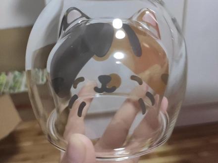 收到@淘宝 #小流浪旅社 的杯子啦!0.01的猫猫头杯子,这可是我云养过的崽崽,朕很欣慰啊哈哈哈#云养流浪猫