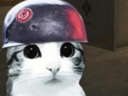 狮子:这把暴率挺高啊#三角洲行动 #狮子和小猫 #真实生活分享计划 #搞笑