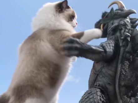 猫咪大战怪兽ai指令令制作教程来啦 #萌宠花式整活#豆包Seedance2.0 #豆包ai#豆包P图已经nextlevel了 #豆包出大片有两把刷子 ai猫咪大战怪兽制作教程