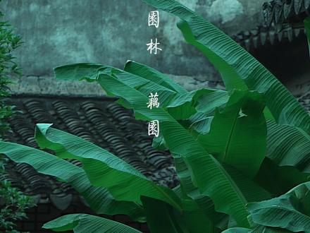 “耦园住佳偶,城曲筑诗城" #苏州园林 #古风 #dou上热门 #国风古韵 #江南 @DOU+小助手
