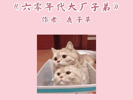 #小说 活出自我,奔向幸福!#鹿子草 #重生八零媳妇有点辣 #年代文 #追更少女的后花园 #2022虎虎生威