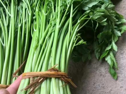野芹菜有毒,水芹菜可食用。它们的区别告诉你!