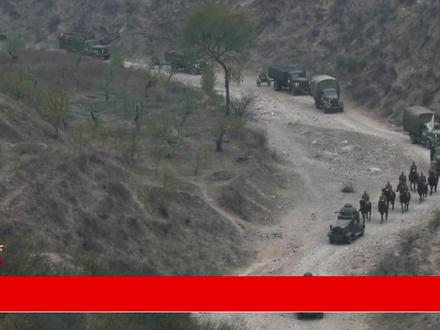 大佐军衔在日军中担任哪些职务?