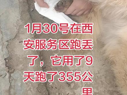 狗狗们真是太聪明了👍🏻👍🏻👍🏻👍🏻👍🏻👍🏻👍🏻👍🏻👍🏻👍🏻👍🏻👍🏻👍🏻🍎🍎🍎🍎🍎🍎🍎🍎🍎🍎