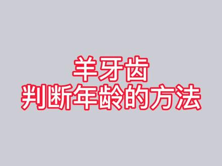 怎么判断羊的年龄?顺口溜和图片一看就会!