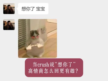 crush说想你了,最后一种真有用~ #高情商说话技巧#说话的艺术#crush聊天记录